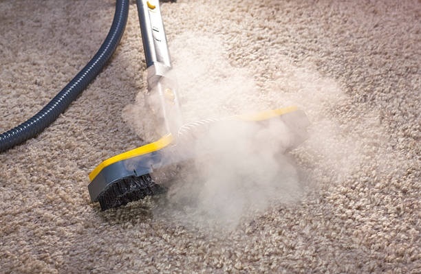 Steam Carpet Cleaning Gold Coast